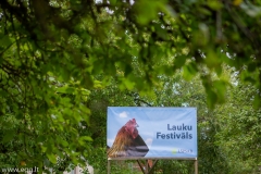 pauksciu_festivalis-1