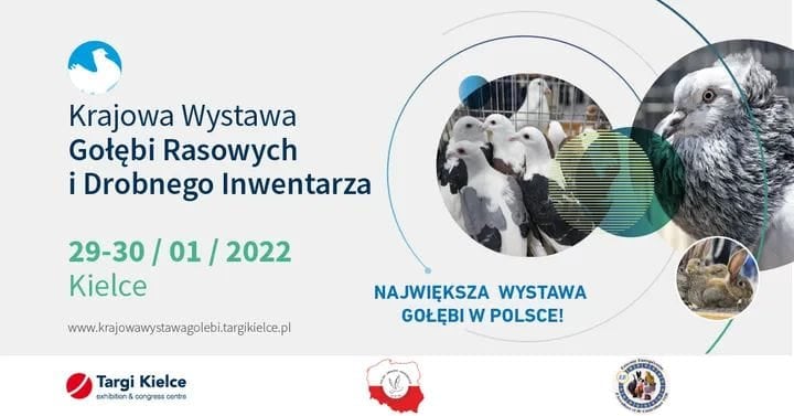 KIELCE Lenkijos paukščių paroda 2022 VIDEO