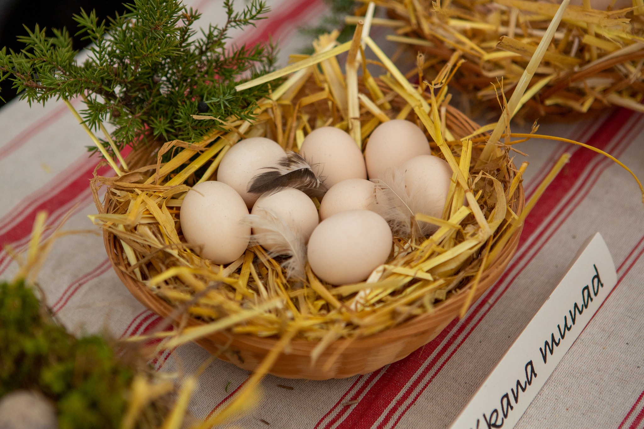 Apie kiaušinio naudą, vartojimo ypatumus ir ženklinimą